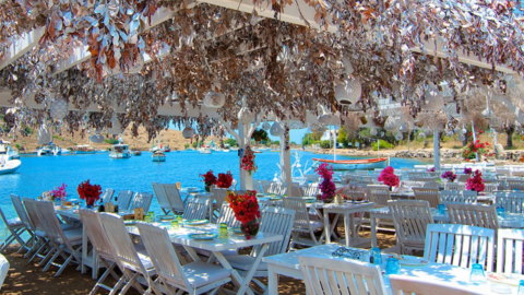 Bodrum Kamp Alanları ile Bodrum'da Kamp Yapmanın Keyfi