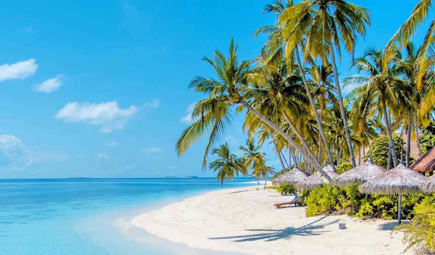 En Güzel Tropik Adalar: Tatil İçin Harika Bir Kaçış Noktası