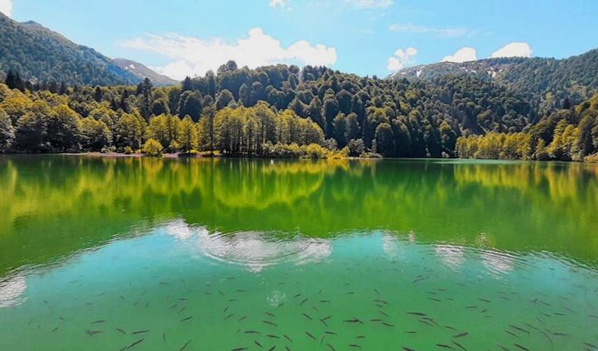 Karadeniz yayla tatili ile harika bir Karadeniz tatili