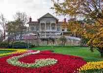 İstanbul'da Güz Mevsimi En Güzel Nerede Yaşanır? Enfes 5 Yer