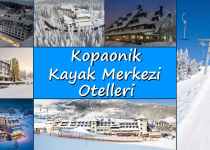 Kopaonik Kayak Merkezi otelleri listesi ile karşınızdayız. Kopaonik kayak otelleri
