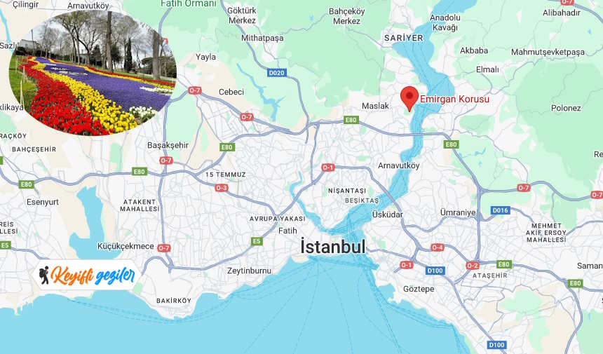 Emirgan Korusu Nerede Nasıl Gidilir? Emirgan Korusu Giriş Ücreti 2024 Ne Kadar?