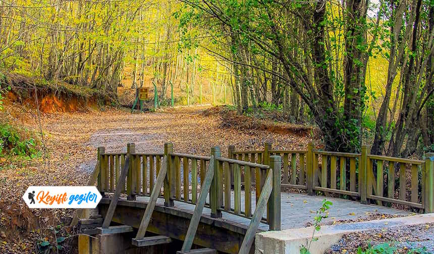 İstanbul'da Gezilecek Yerler Doğa ve Ormanlık Yerler Polonezköy Tabiat Parkı