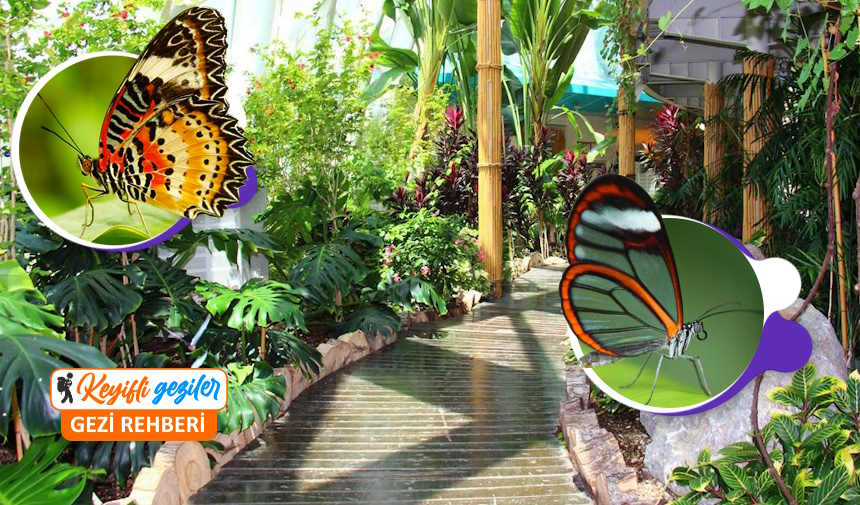 Konya gezilecek yerler listesi Konya Tropikal Kelebek Bahçesi