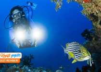 Marmaris dalış noktaları listesi: Marmaris tüplü dalış noktaları