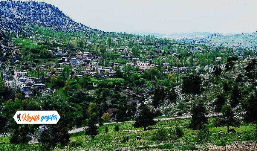 Mersin yaylaları isimleri ve Mersin yaylaları gezilecek yerler listesi Erdemli Sorgun Yaylası