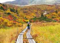 Sonbaharın Renklerini Keşfedin: Türkiye'nin En Güzel Yürüyüş Rotaları