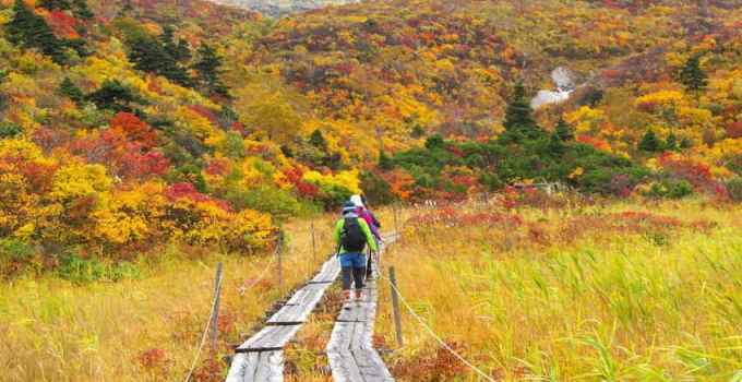 Sonbaharın Renklerini Keşfedin: Türkiye'nin En Güzel Yürüyüş Rotaları